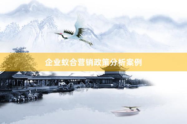 企业蚁合营销政策分析案例